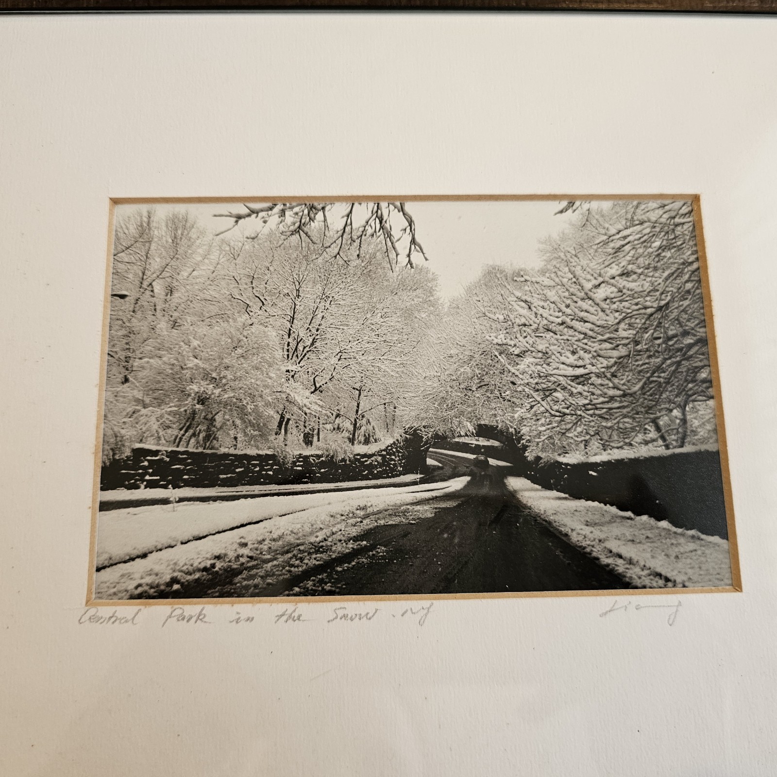 Vintage Photograph Framed Black White Signed CENTRAL PARK , NEW YORK Snow Winter
