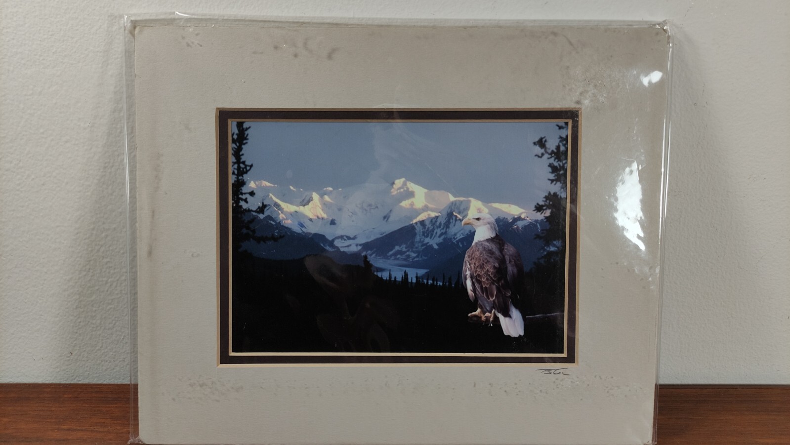Original Photo Artwork American Bold Eagle Mountains Signed & Numbered by Artist
