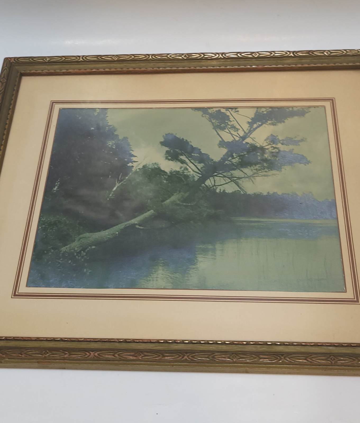 Vintage Scenic Photograph Framed Art Lost Lake Michigan, Trees Antique Art 1939