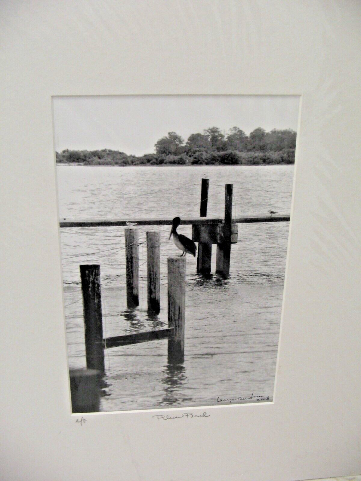 ART PHOTOGRAPHY 16×20 Pelican Perch B&W A/P Matte Acid Free by Larry Santucci