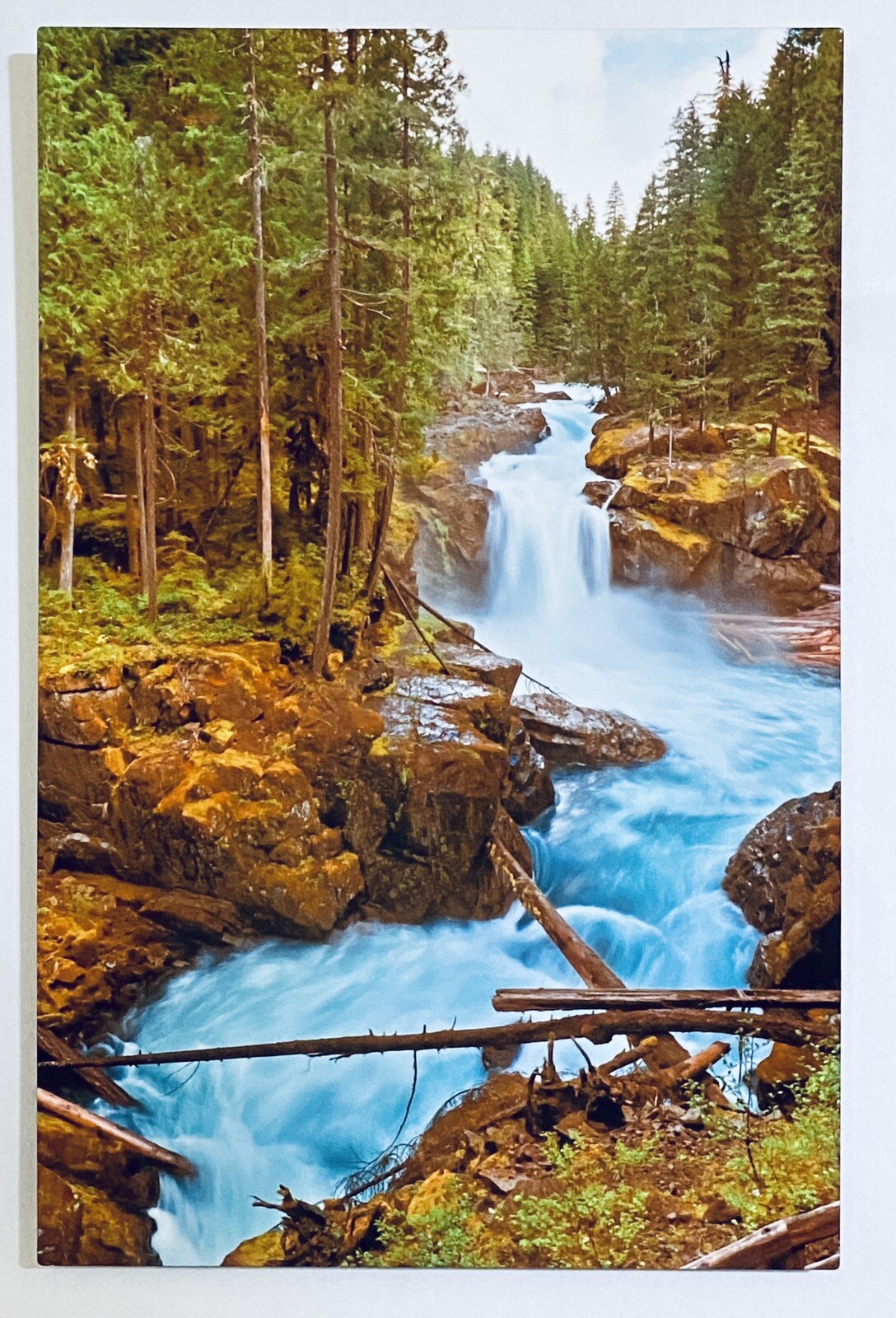 PNW Landscape Waterfall Art Forest River Photographic Metal Print 11×14 Signed