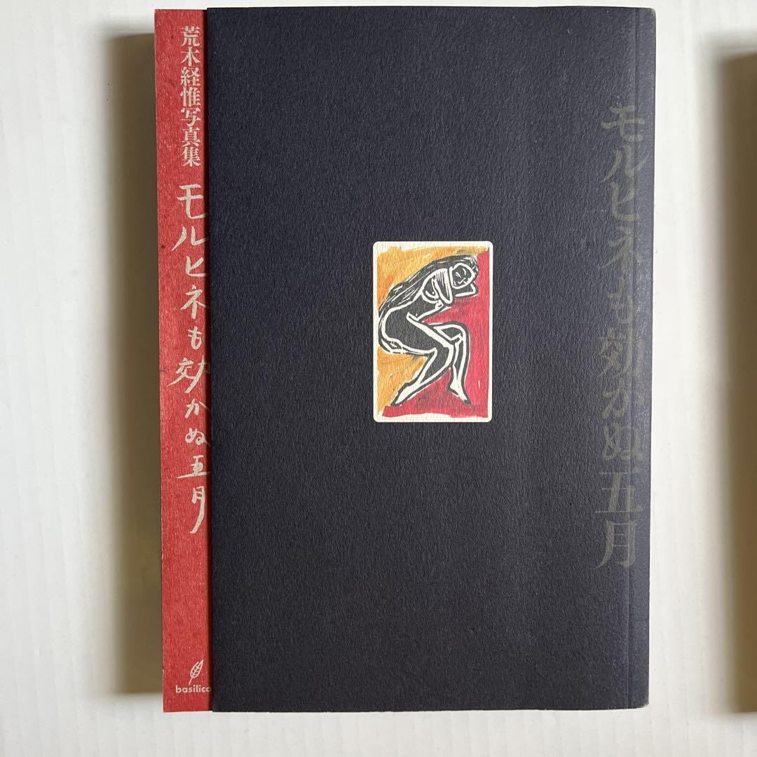 Nobuyoshi Araki Photo Collection Book “Morphine Doesn’t Work in May” Landscape
