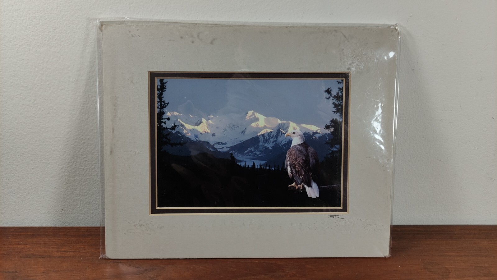 Original Photo Artwork American Bold Eagle Mountains Signed & Numbered by Artist
