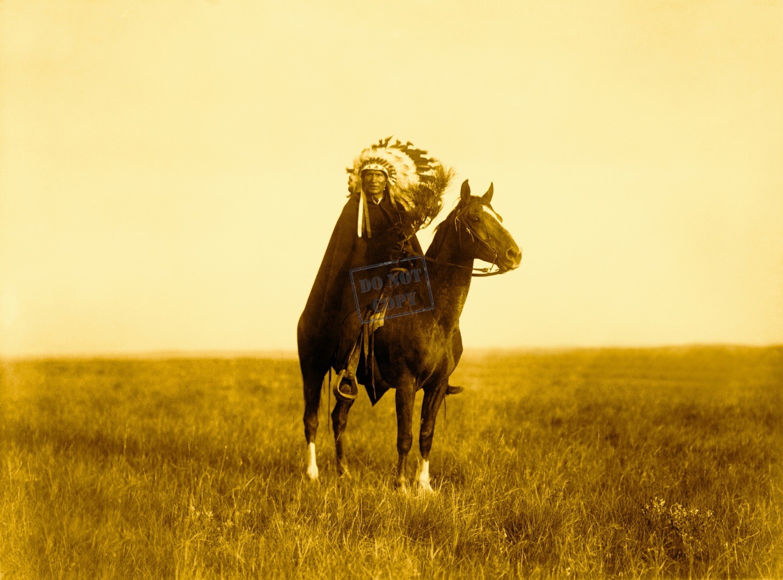 Edward Curtis The Prairie Chief Giclee Fine Art Print Open Edition Reproduction