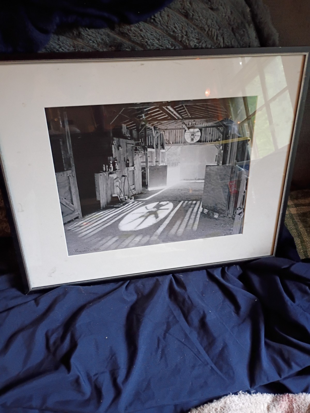 Elliot Erwitt Black And White Print