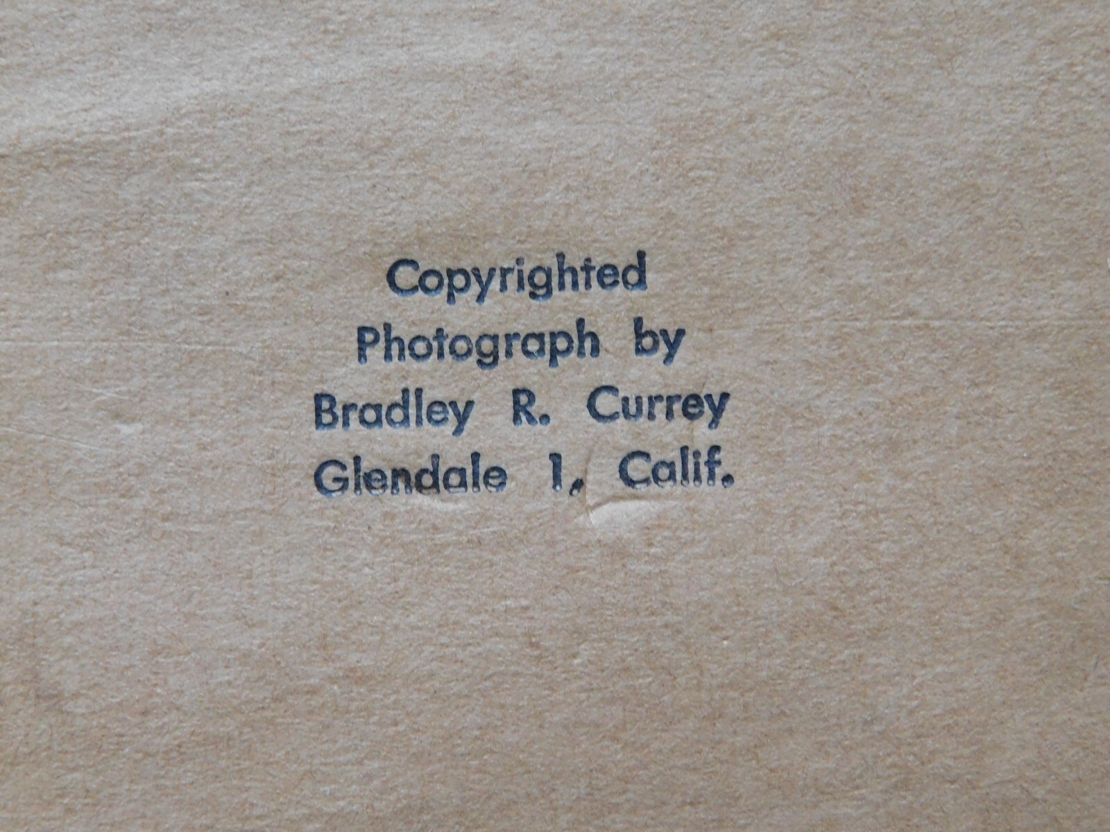 VINTAGE PAIR 1940’S? REAL PHOTOS OF WHITE CATS BRADLEY CURREY FRAMES SIGNED