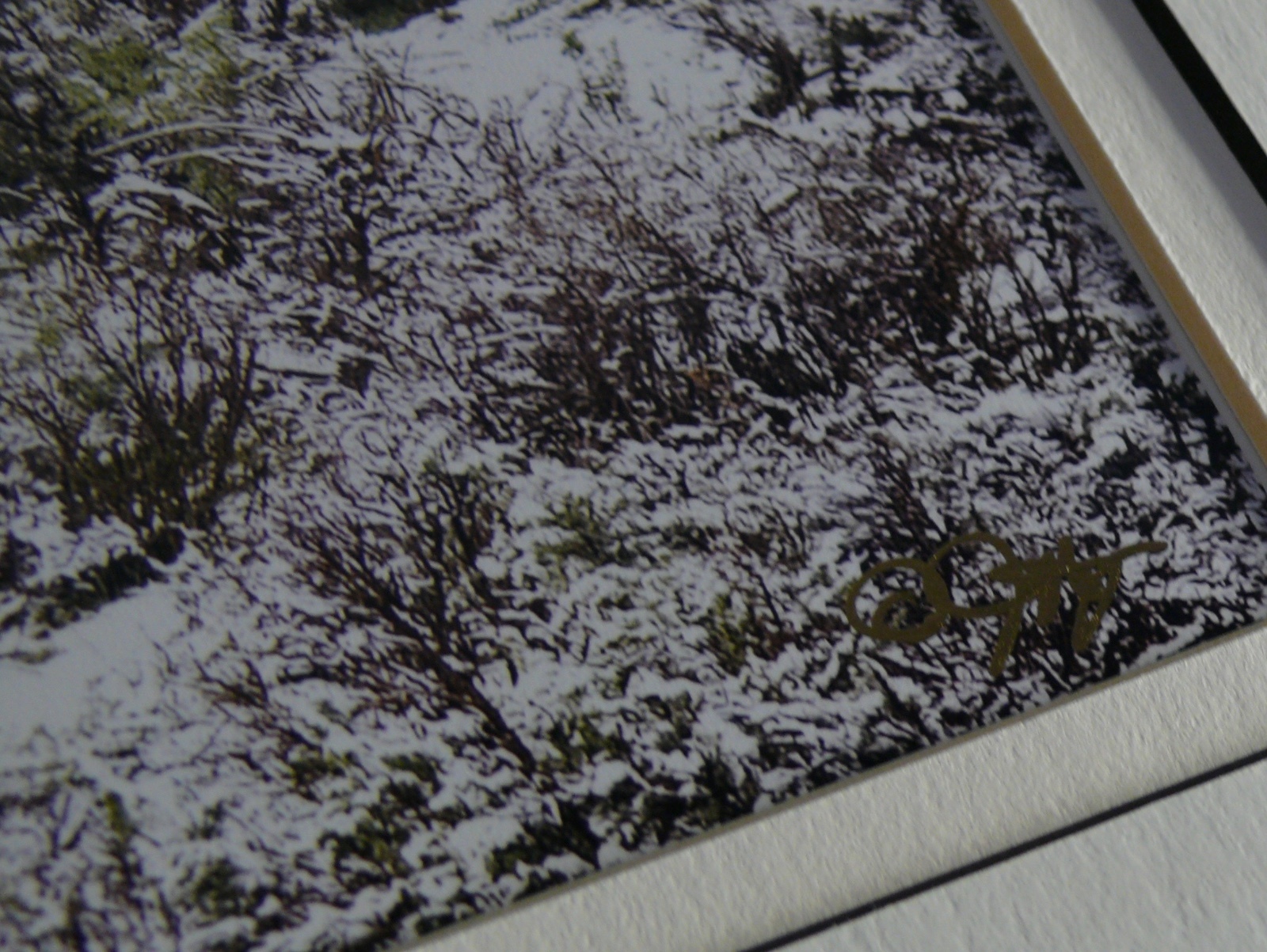 JUDY DEIST PHOTOGRAPH RIDERS IN SNOWY SAGE OPEN EDITION
