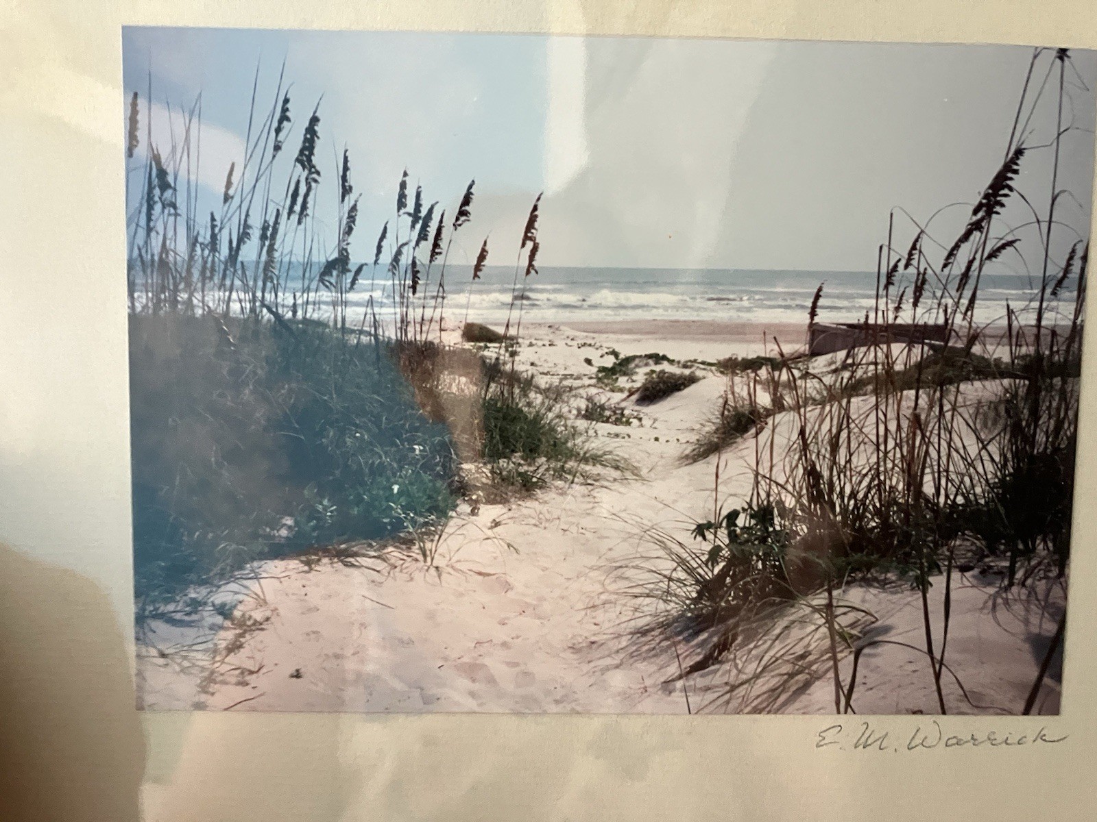 Path To The Beach Artist Edith Warrick Real Photography Laguna Vista Texas, Read