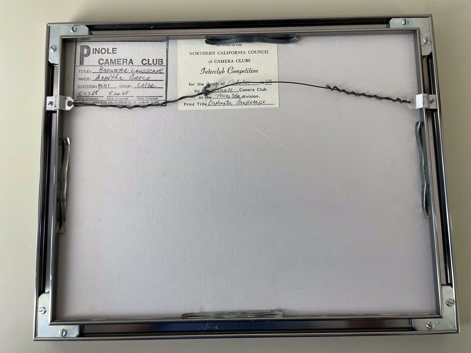 BADWATER Landscape Death Valley Pinole Camera Club Silver Framed 11”x 14” 1988