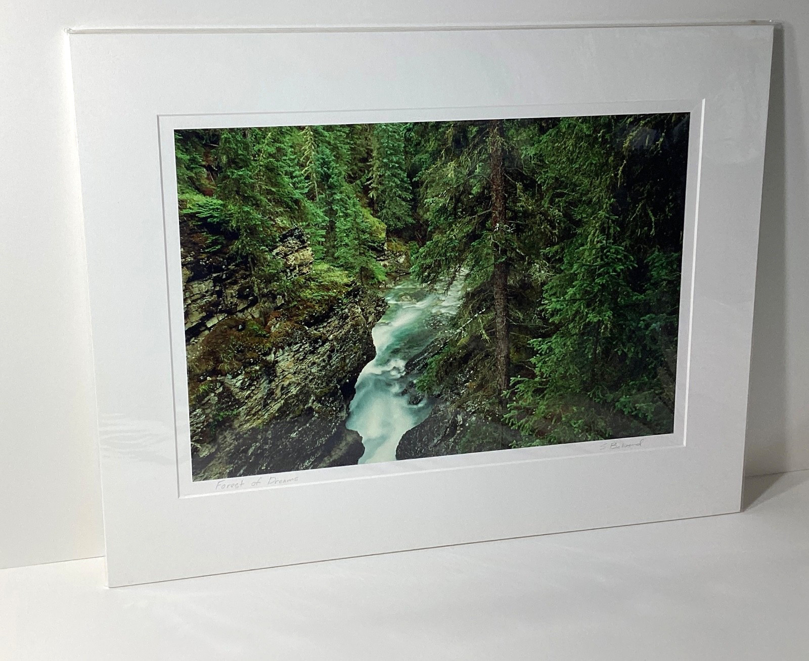 Fine Art Photograph Forest of Dreams Canadian Rockies Landscape Signed & Matted