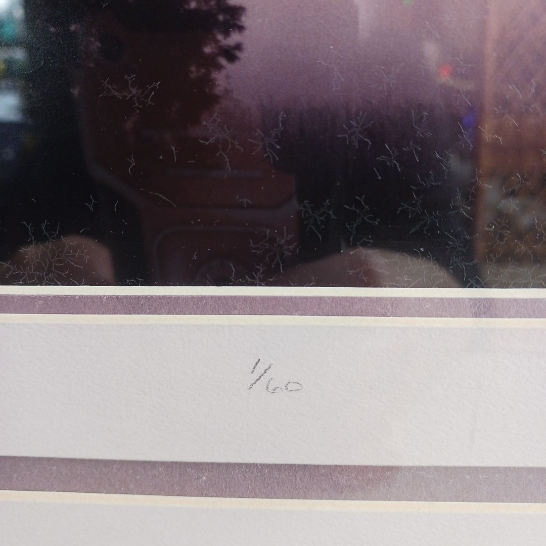 VTG Framed Matted Photograph Dusky Sunrise Signed # 1/60 19×15 Richard Martina