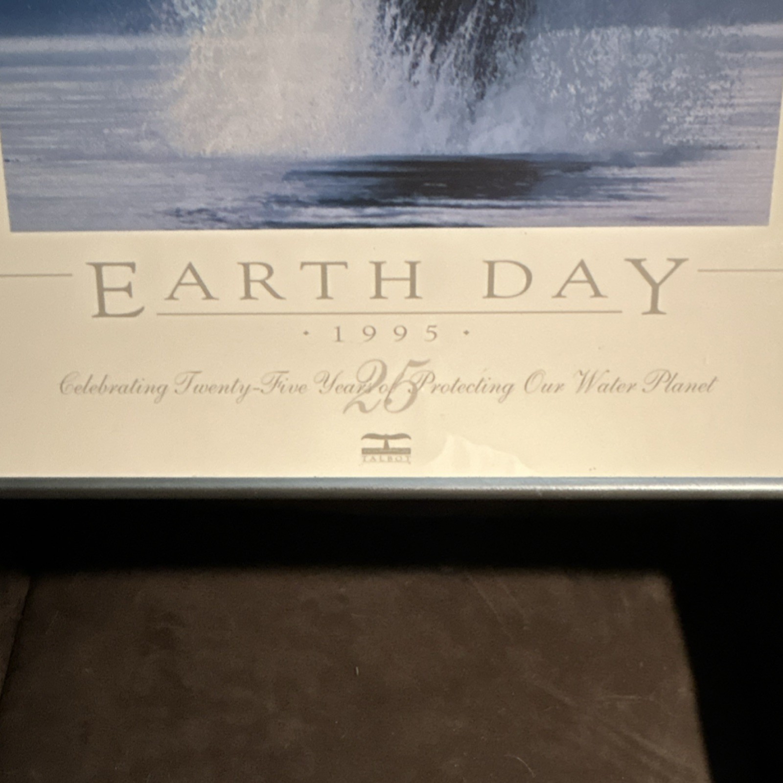 Bob Talbot Signed Limited Edition Framed Whale Photograph Earth Day 1995 17.5×39