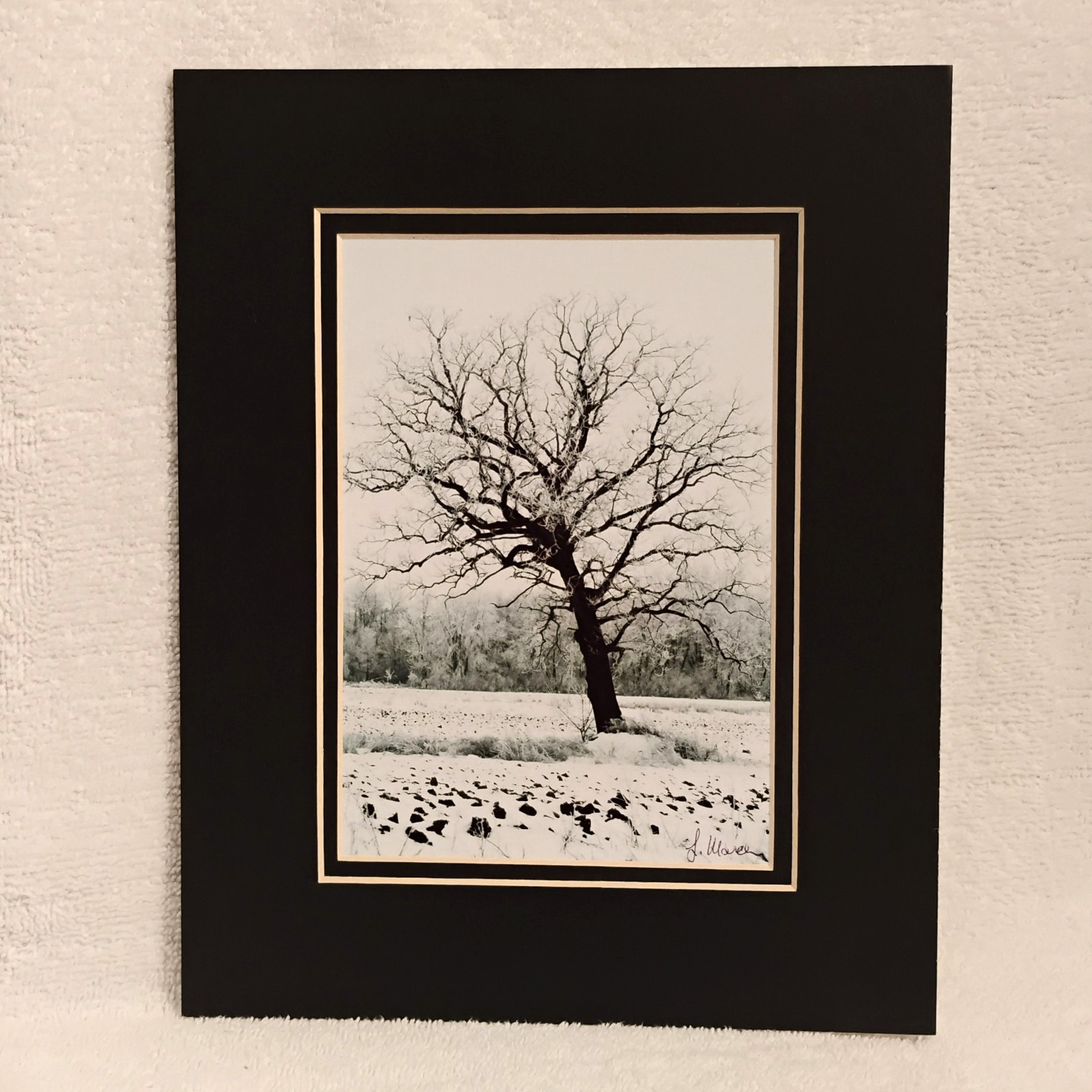 Black & White Wall Art 8×10 Matted Photo Print Winter Landscape Photography Tree