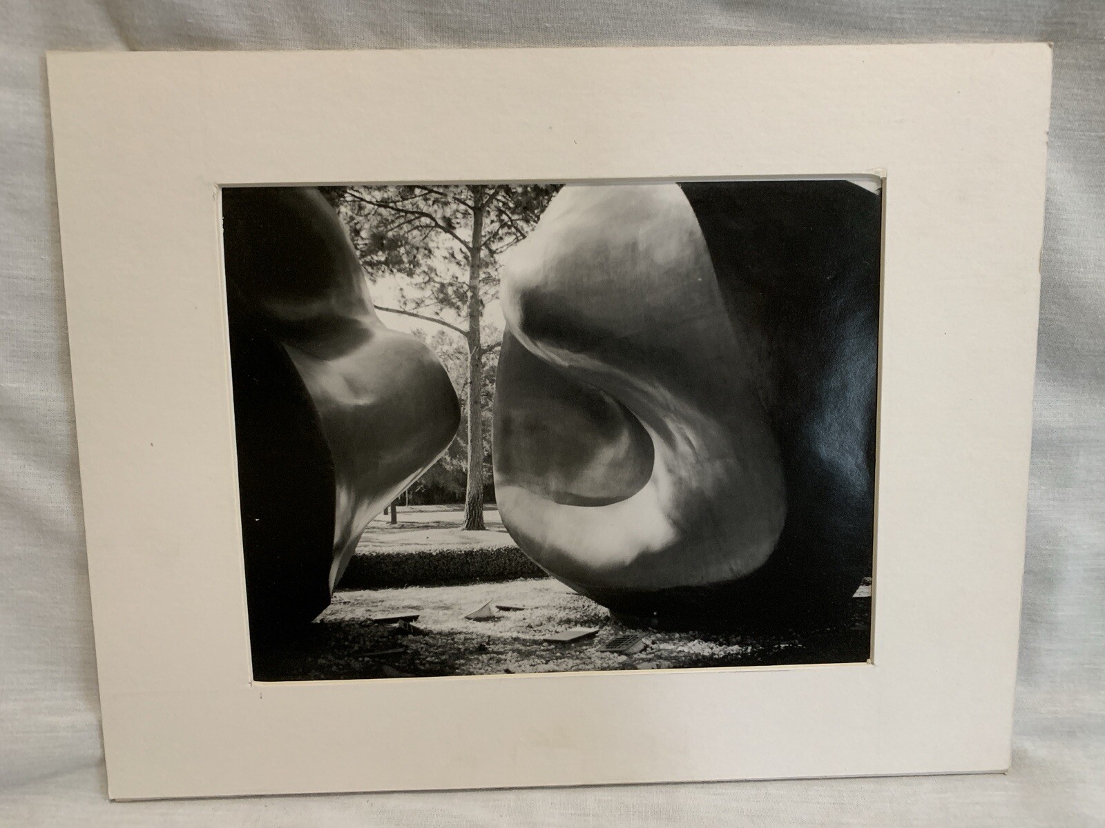 Black & White Photo Wall Art 8” x 10” Large Two Forms Park Abstract