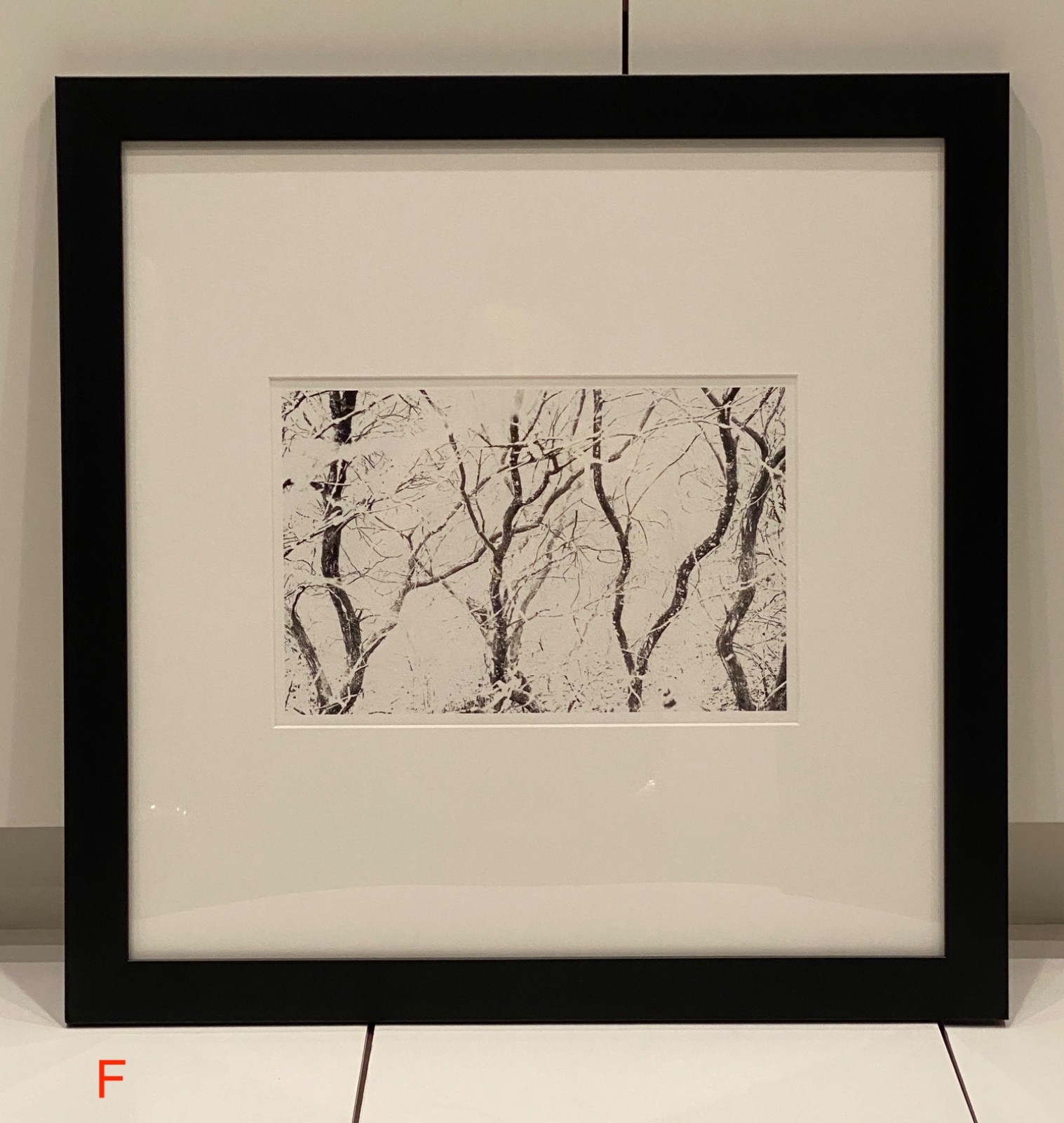 Black & White Wooden Frame Photography Art Work Collection