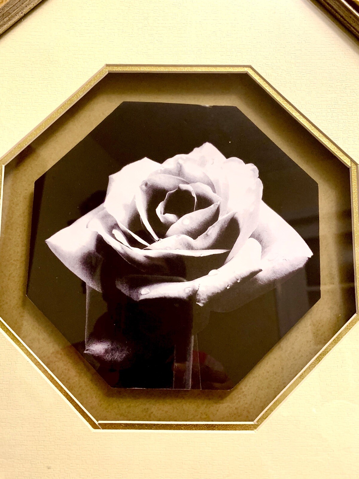 Beautiful Vintage Rose Black & White Octagon Matted Framed Art Print