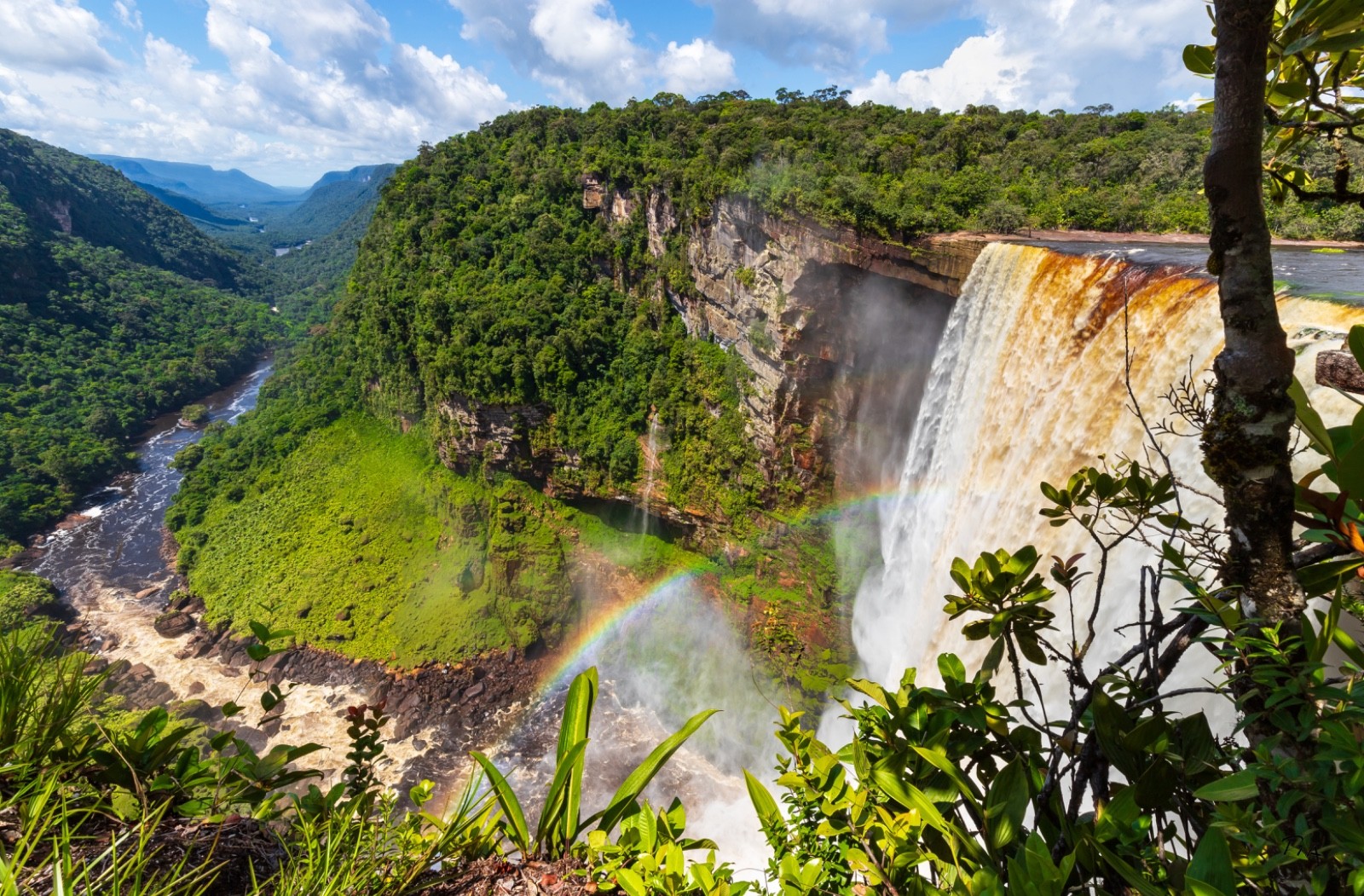 Amazon Rainforest Photography Print Of Kaieteur Falls On Potaro River In Guyana