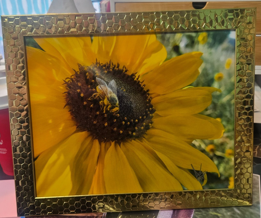 8×10 Signed Honeybee Sunflower Photo Ornate Gold Honeycomb Frame by Audra Deane