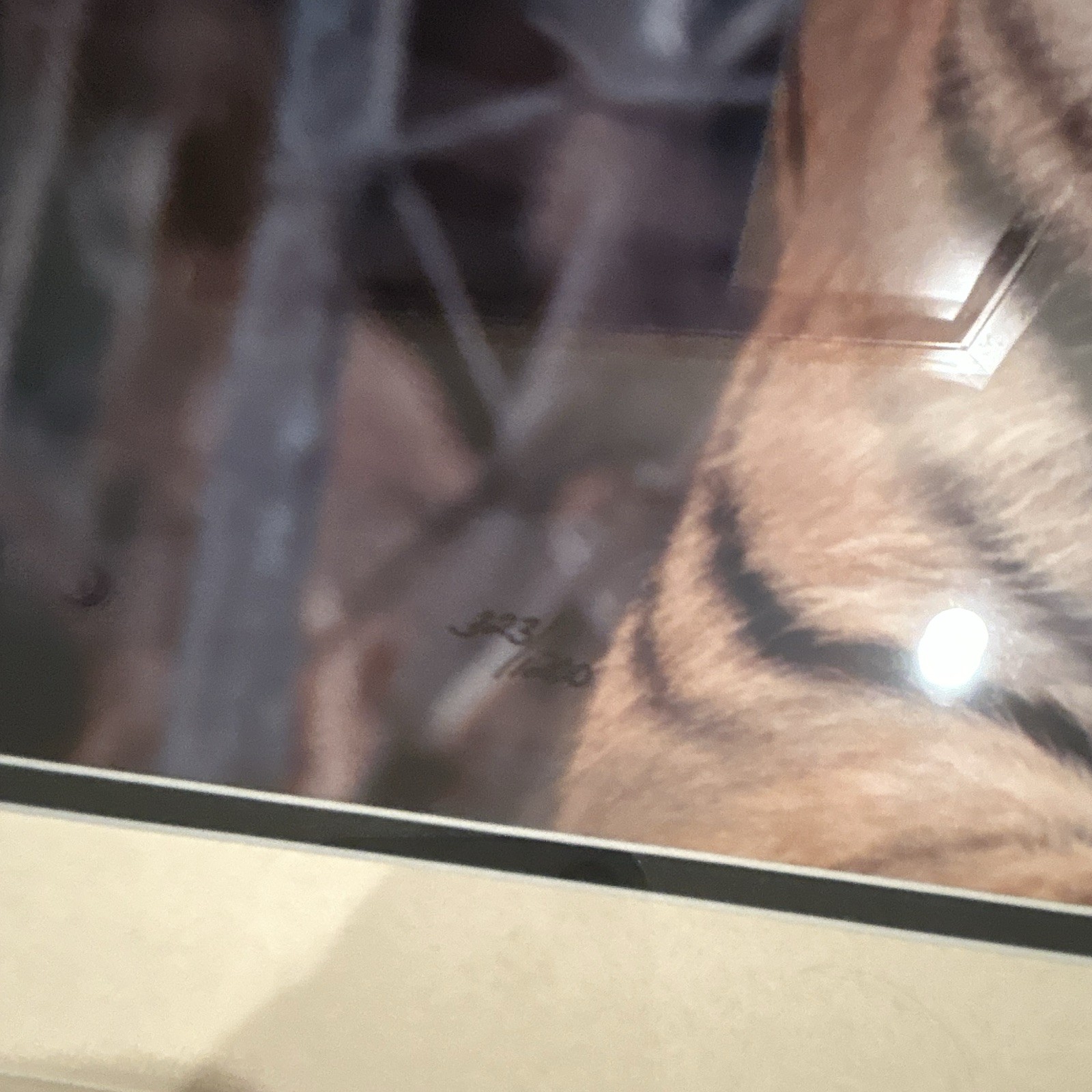 Thomas Mangelsen “Survivor- Bengal Tiger” signed framed matted 28×22 color photo
