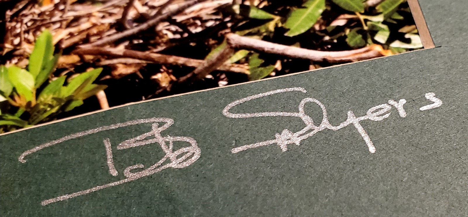 Signed Bob Salyers Heron & Egret Wildlife Photo Prints Pair 11×14 2005 Matted