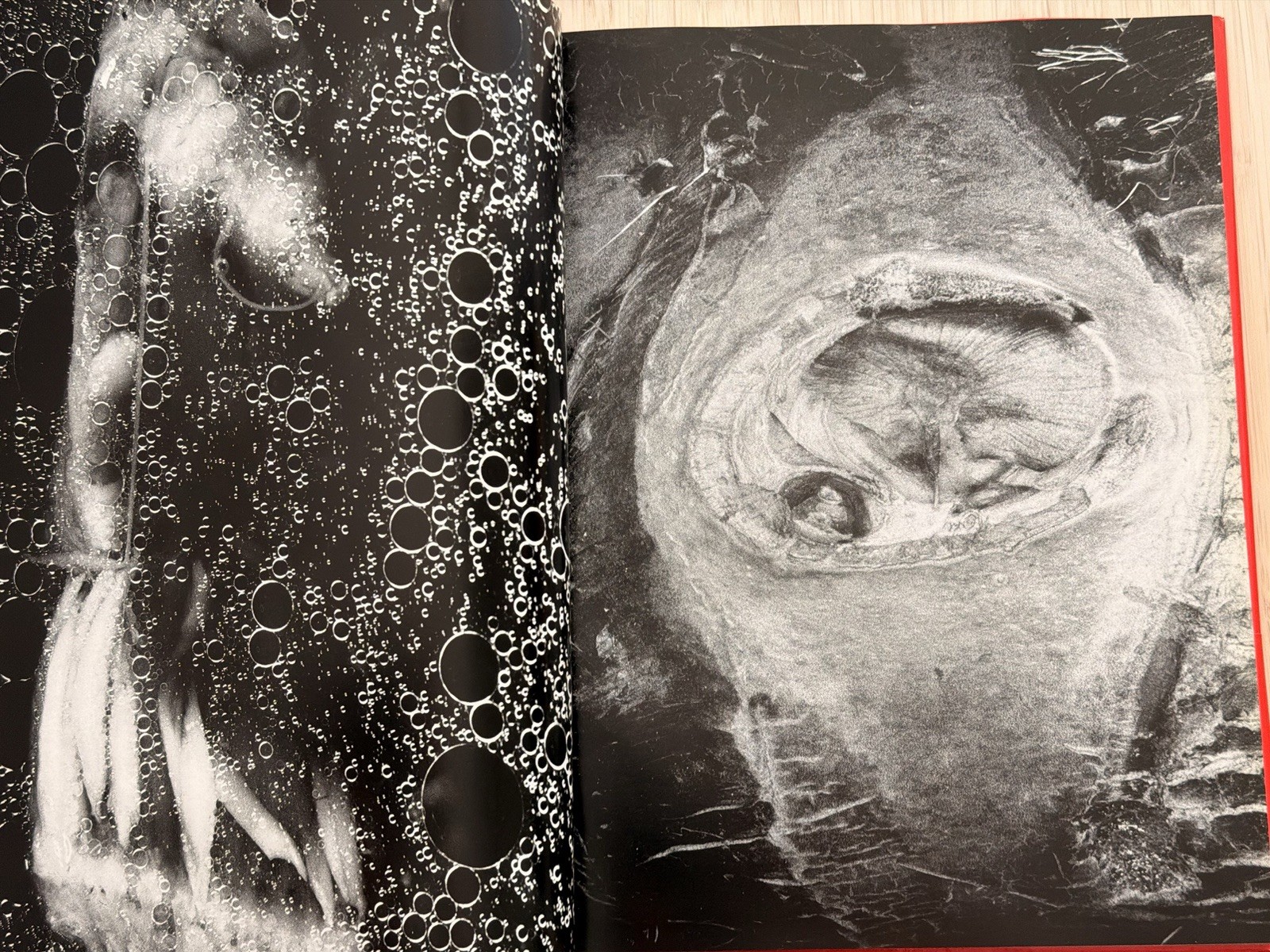 🎈SIGNED Nobuyoshi Araki – EROTOS, First Edition 1993, Japan, HC, LIBRO, SupRARE