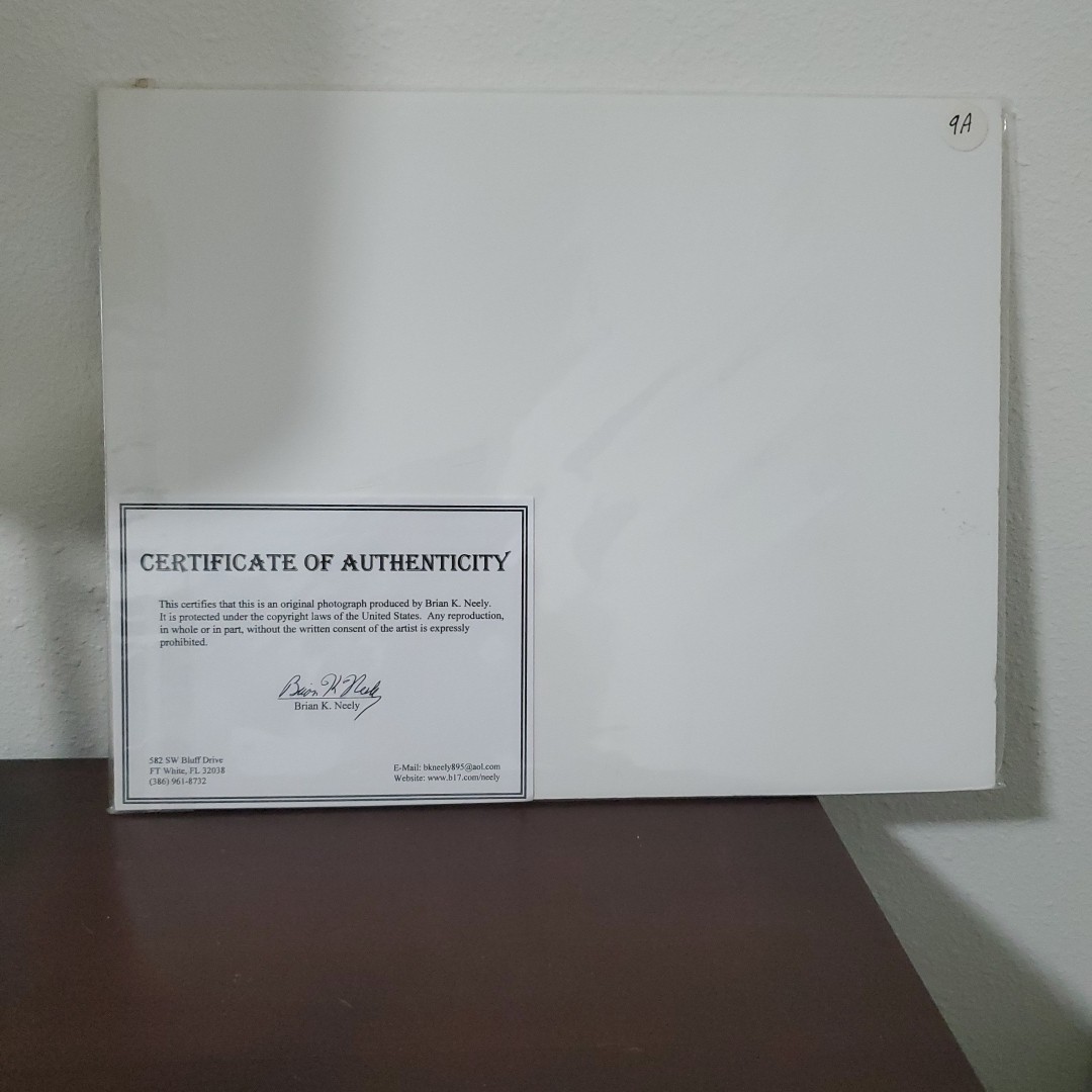 Brian K. Neely Photograph Of a Lion Signed 160/200 W Certification