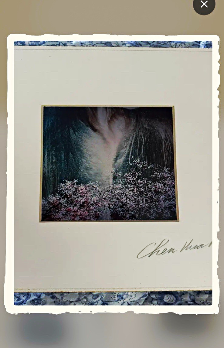 Chen Man Signed Matted Color Landscape Forest Nature Photograph on Paper