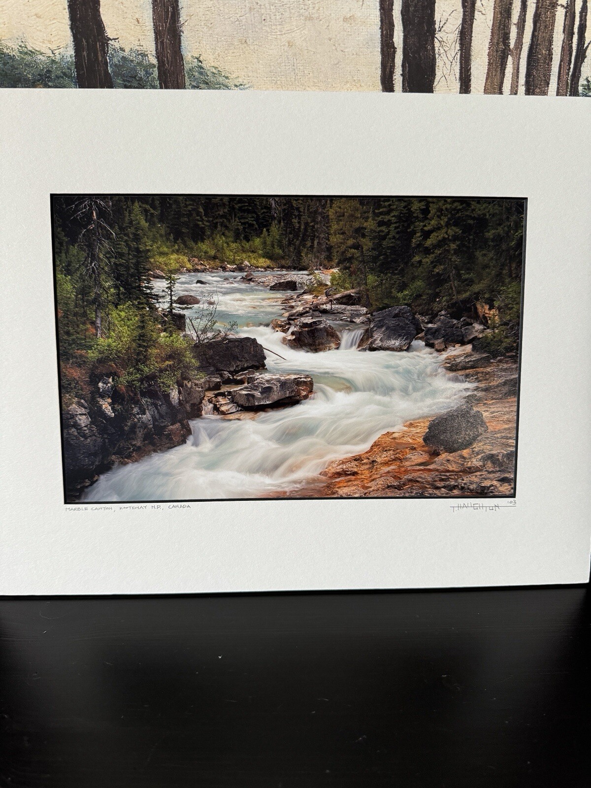 11×14 MARBLE CANTON, KOOTENAY N.P., CANADA Matted & Signed By Photographer