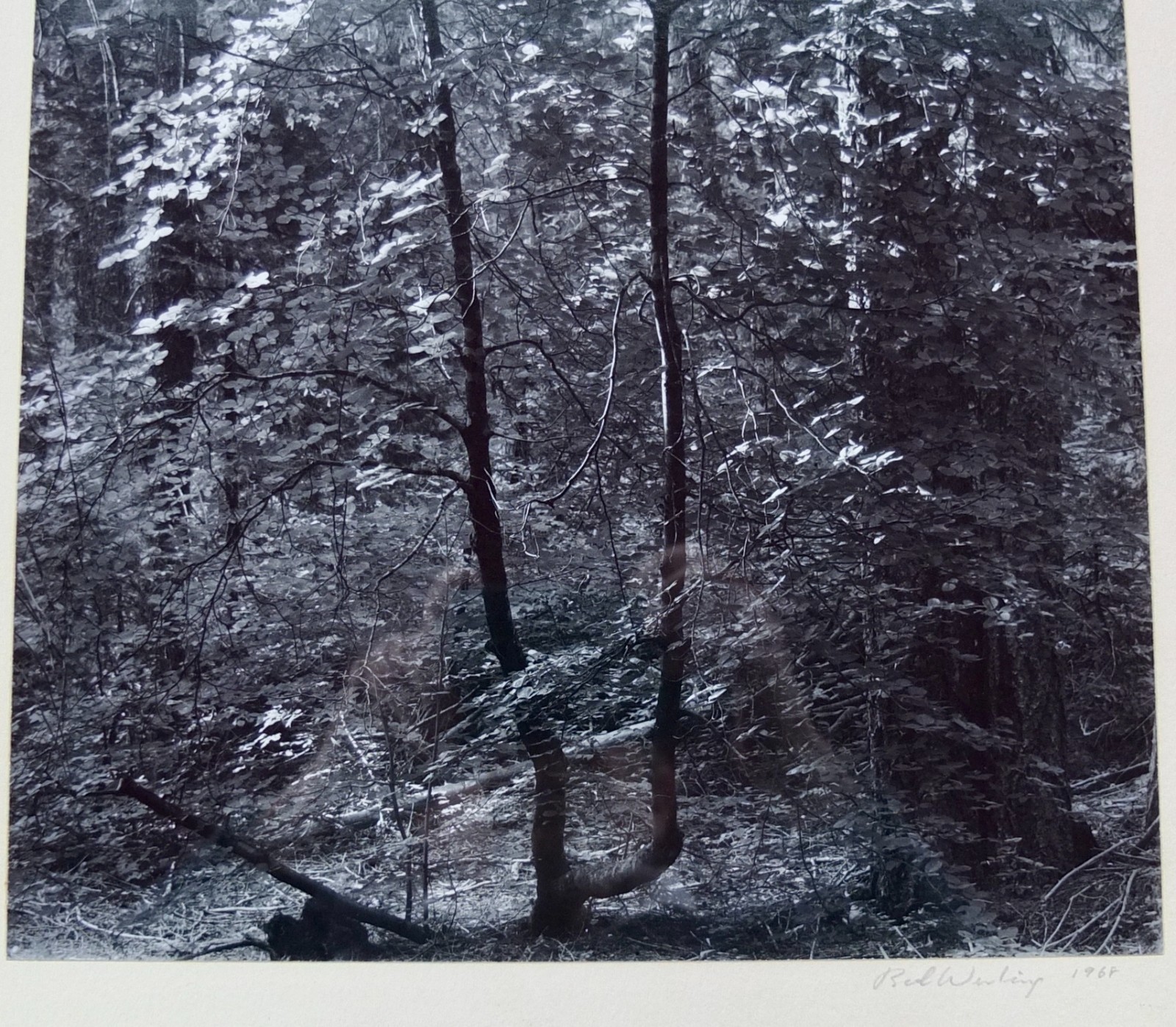 Robert (Bob) Werling 1968 Photograph Early Morning Light Pencil Signed In Frame