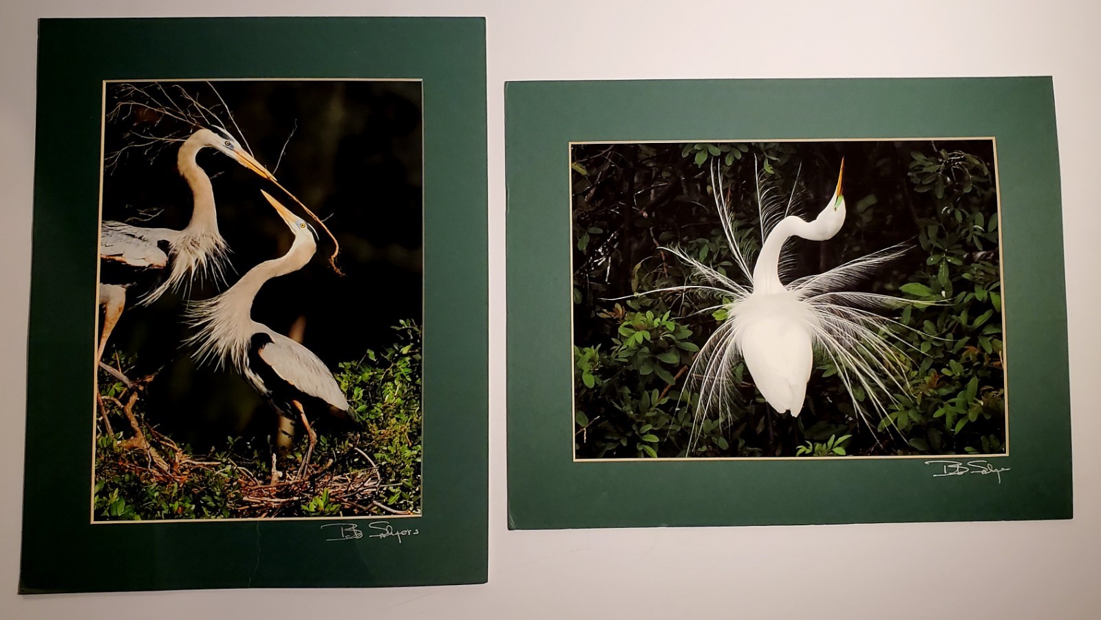 Signed Bob Salyers Heron & Egret Wildlife Photo Prints Pair 11×14 2005 Matted