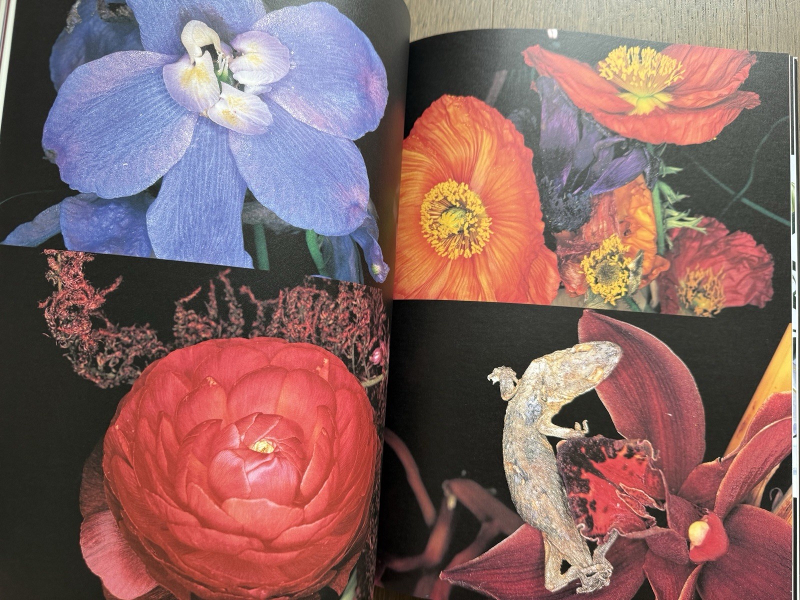 🎈SIGNED w Drawing! Nobuyoshi Araki – HANA-JINSEI, 2002 Japan Limited Ed, Unique