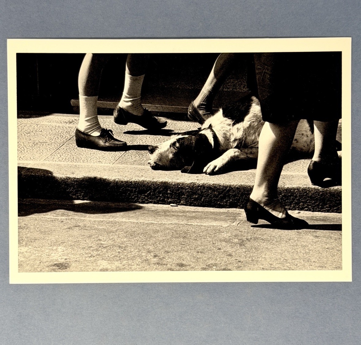 Elliott Erwitt Art Photo Print Card By Fotofolio – Honfleur, France, 1968