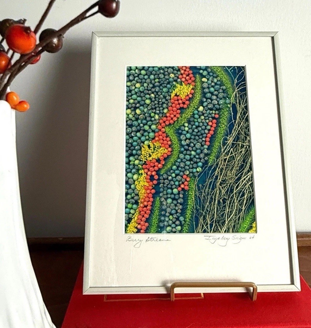 Signed Framed Botanical Berry Photograph Nature Wall Art Modern Colorful