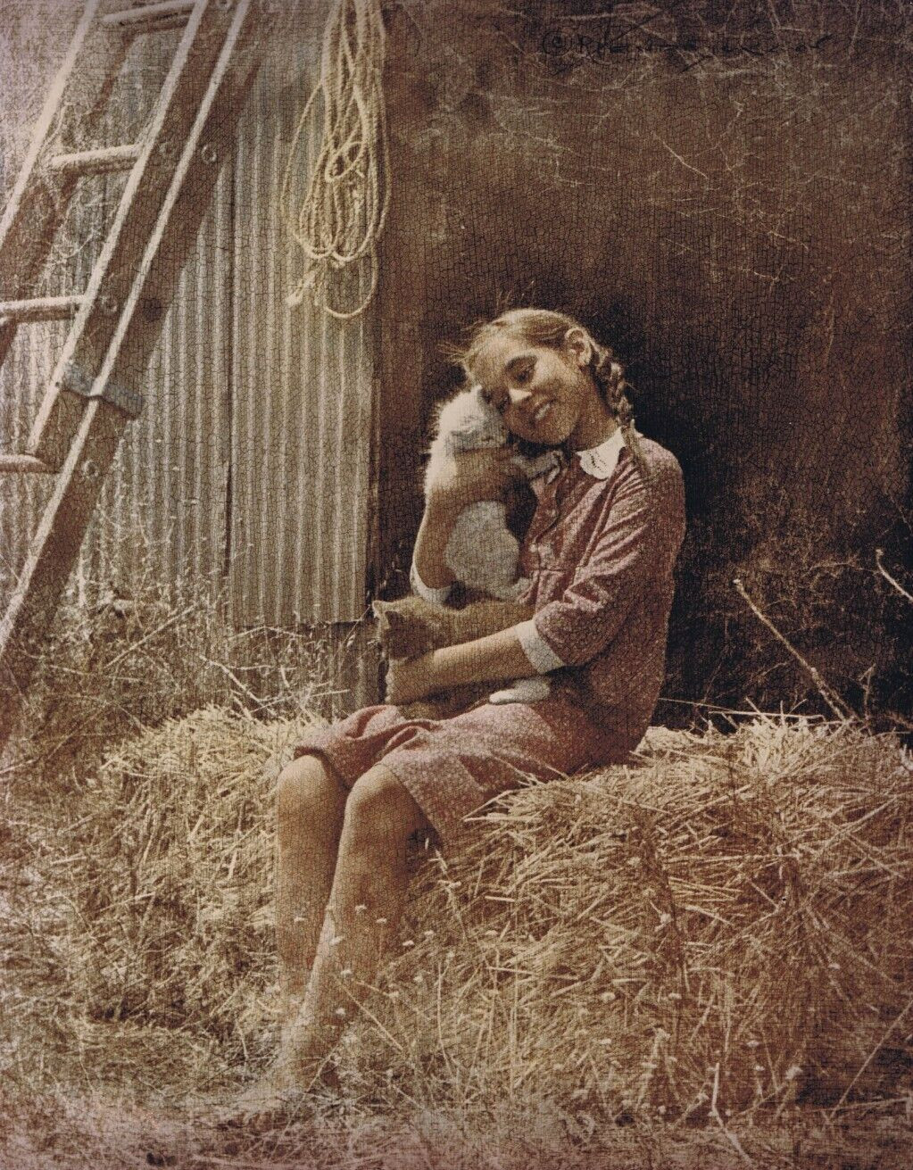 NEWLY FOUND! HENDRICKSON HAND TINTED, SIGNED Photo 11″x14″ VINTAGE GIRL CAT MP36