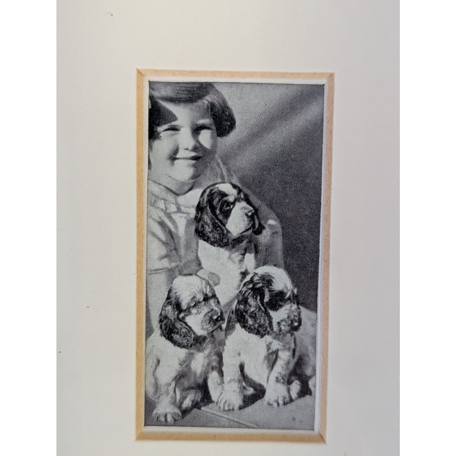 Vtg Cocker Spaniel Photos Framed Dogs and Friend Black White Lady Kitty Ritson
