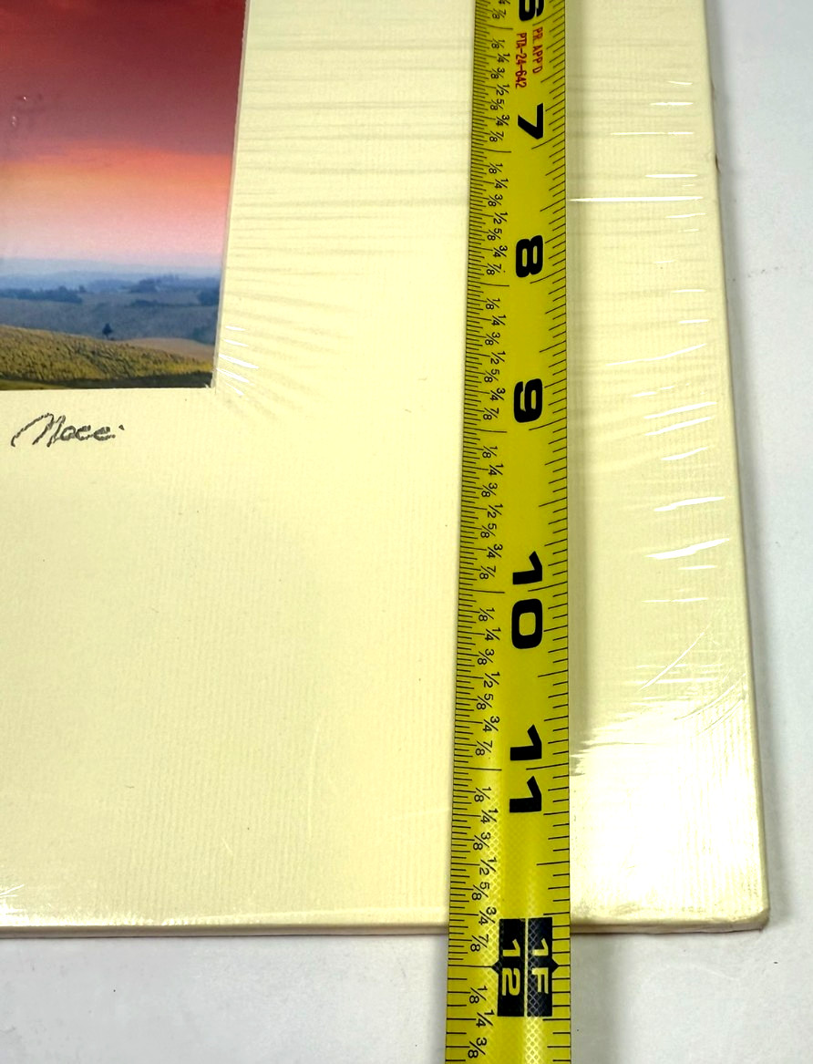 Duccio Nacci Signed Tuscany Photograph 2002 “Toscana, Castelfalfi” Matte 14.5×12