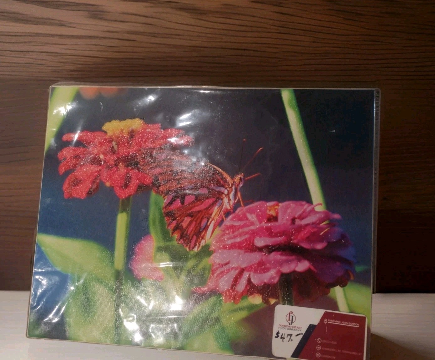 Butterfly Flowers Photography Nature Original Fine Art Photograph New