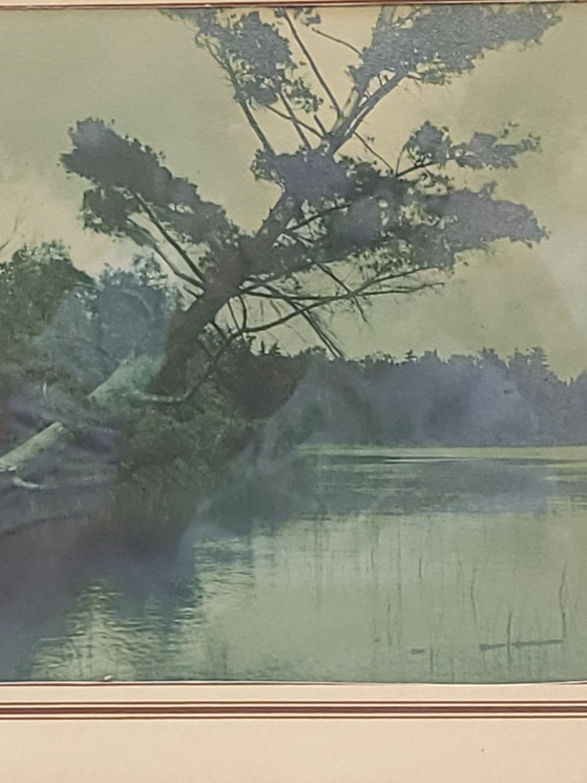 Vintage Scenic Photograph Framed Art Lost Lake Michigan, Trees Antique Art 1939