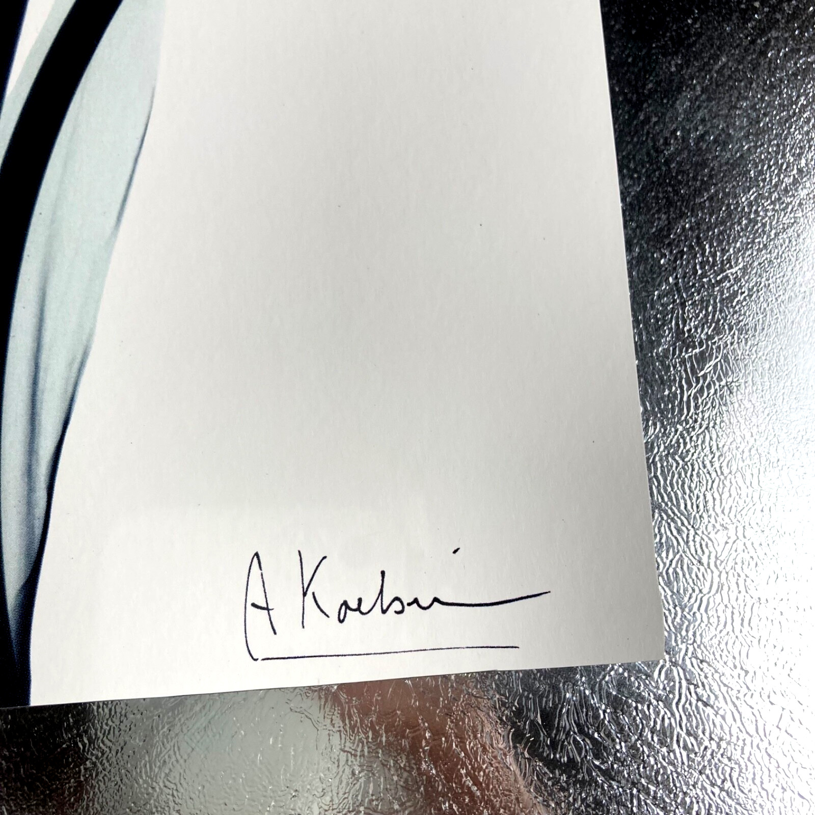 Tulips By Albert Koetsier Artist Signed Radiographic Xray Radio Photography Art