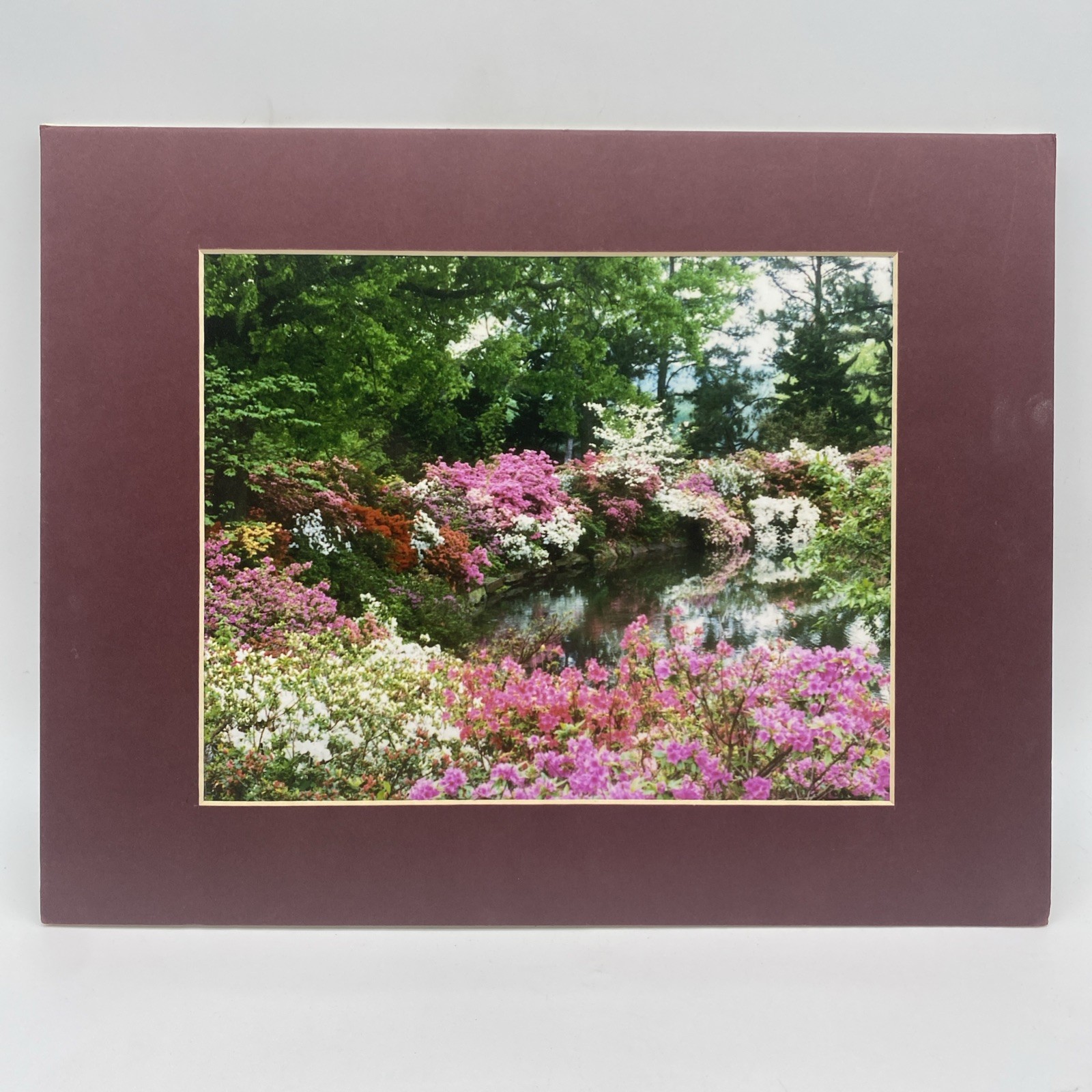 Matted Flowers Pond Forest Landscape Photo Print 11 X 14 Wall Art Gallery Decor