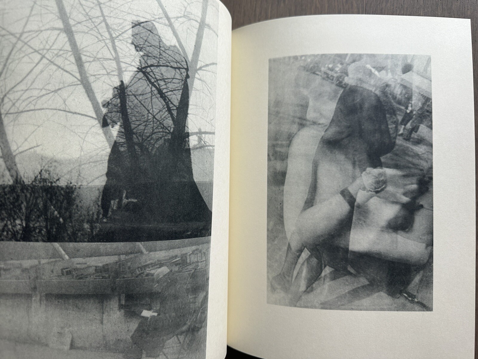 🎈Sup RARE! Moi Ver – PARIS, 2004, Steidl Limited Ed, Brand NEW, Fernand Léger