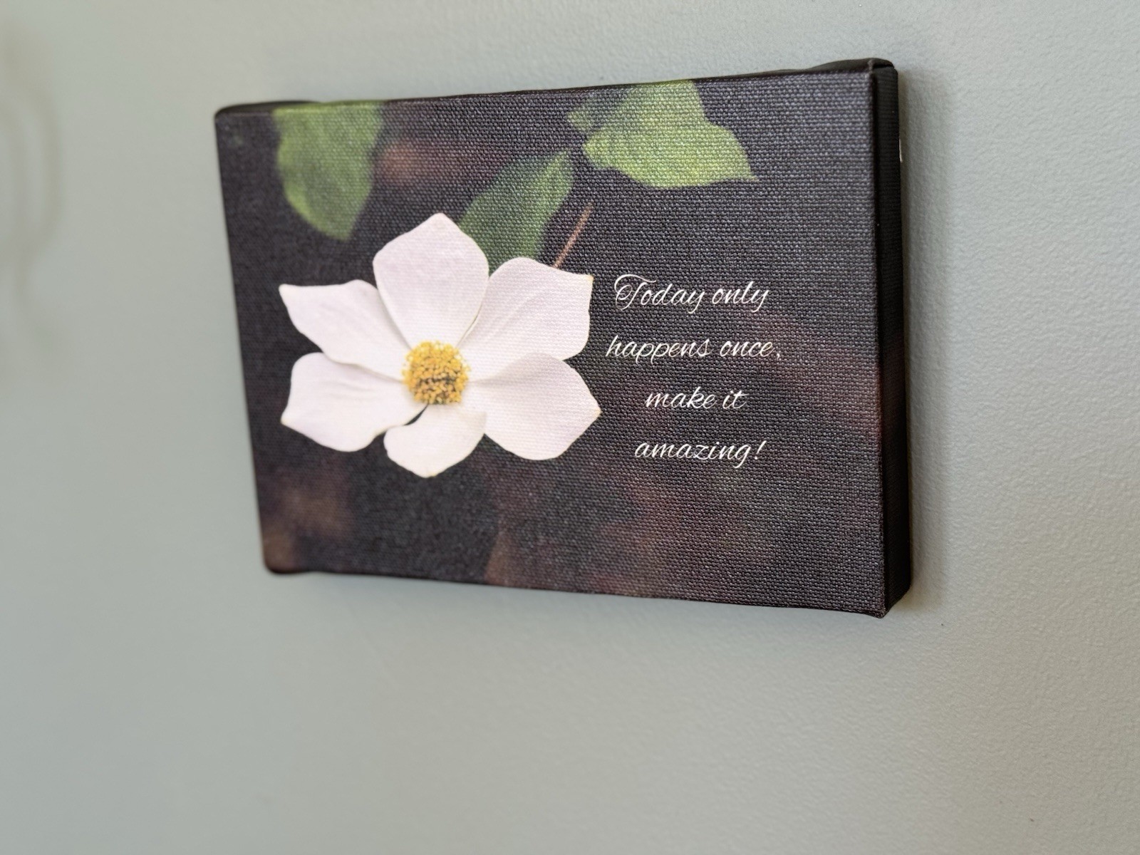 Beautiful Photo Of A Dogwood Blossom, Reminding Us To Be Present Photo On Canvas