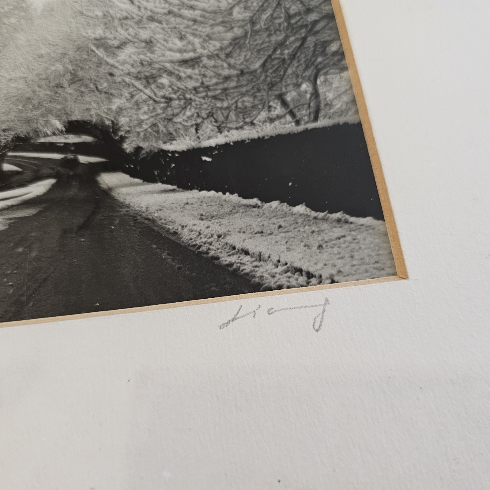 Vintage Photograph Framed Black White Signed CENTRAL PARK , NEW YORK Snow Winter