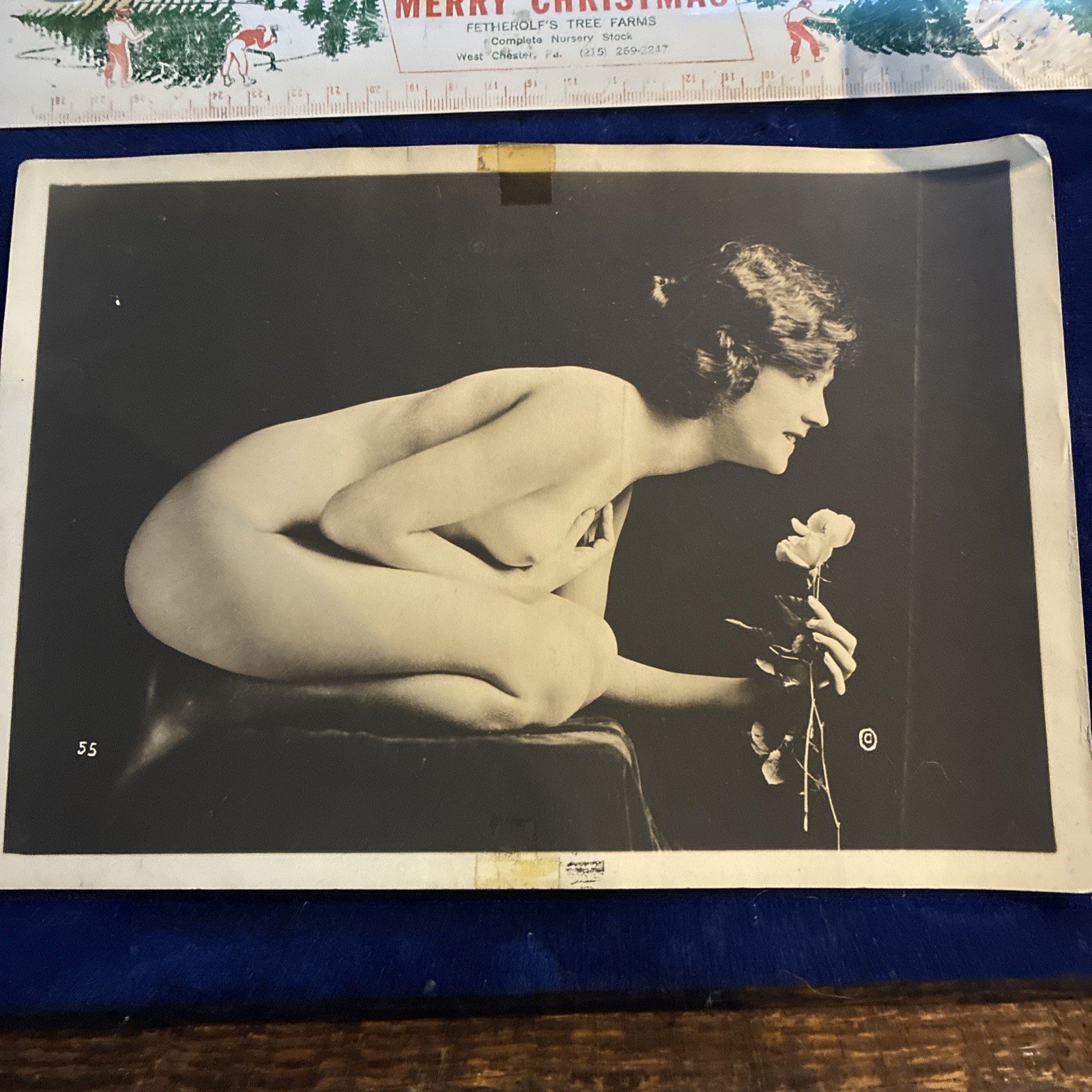 Henry Shaw Original large nude pose boudoir alta dienes sf boston mass flower
