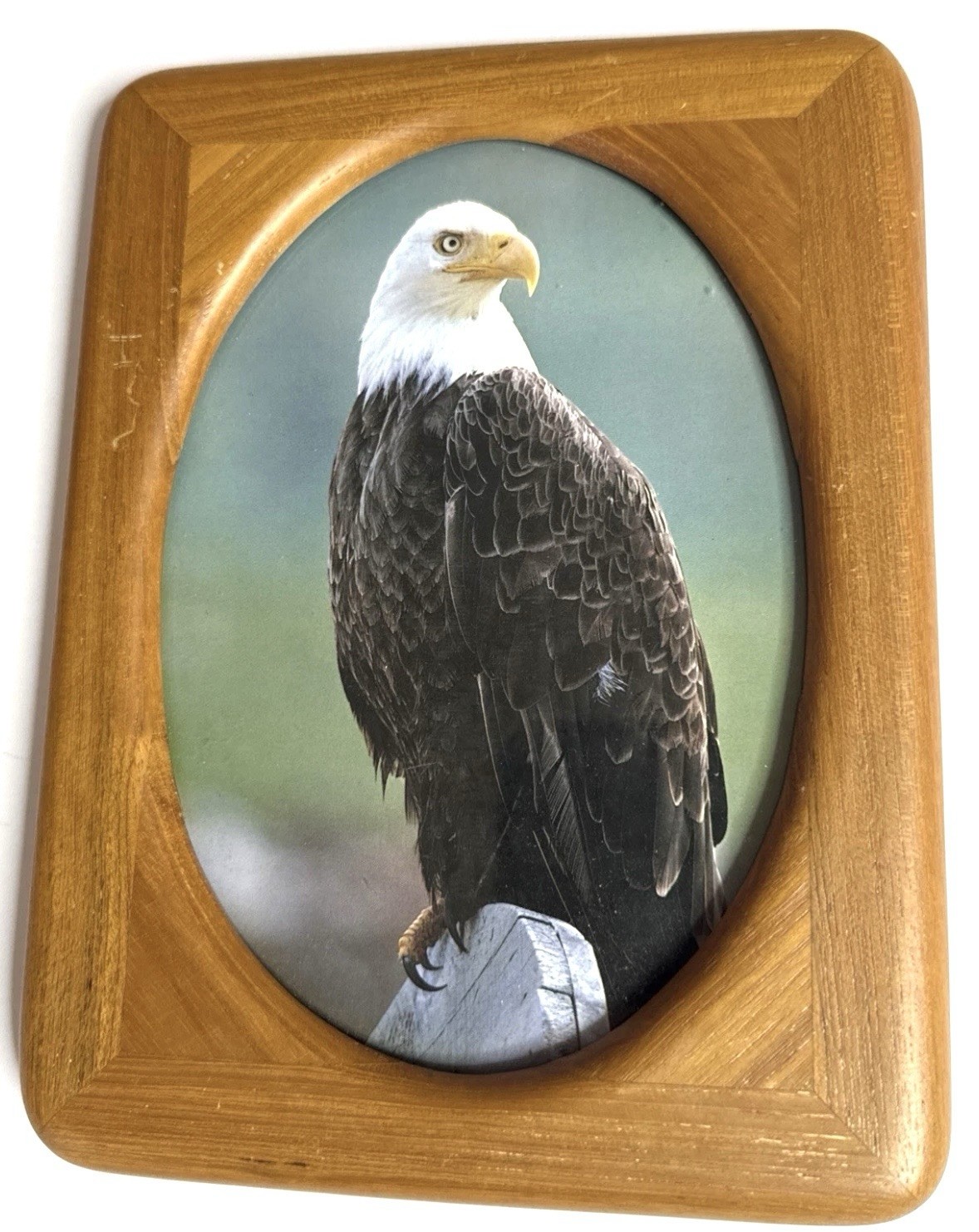 Wood Picture Frame 8×6 -Oval Opening- Bald Eagle Photo Rustic Decor