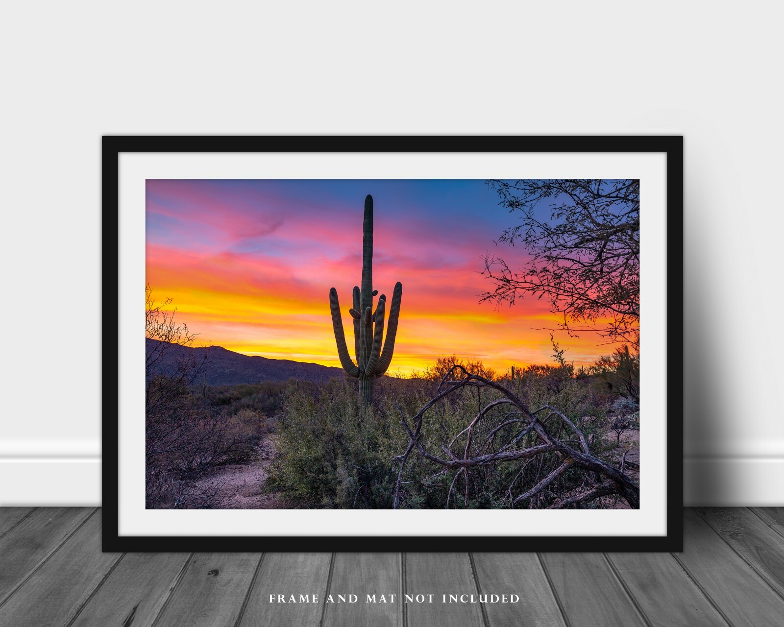Southwest Photography Print – Picture of Saguaro Cactus in Arizona Desert