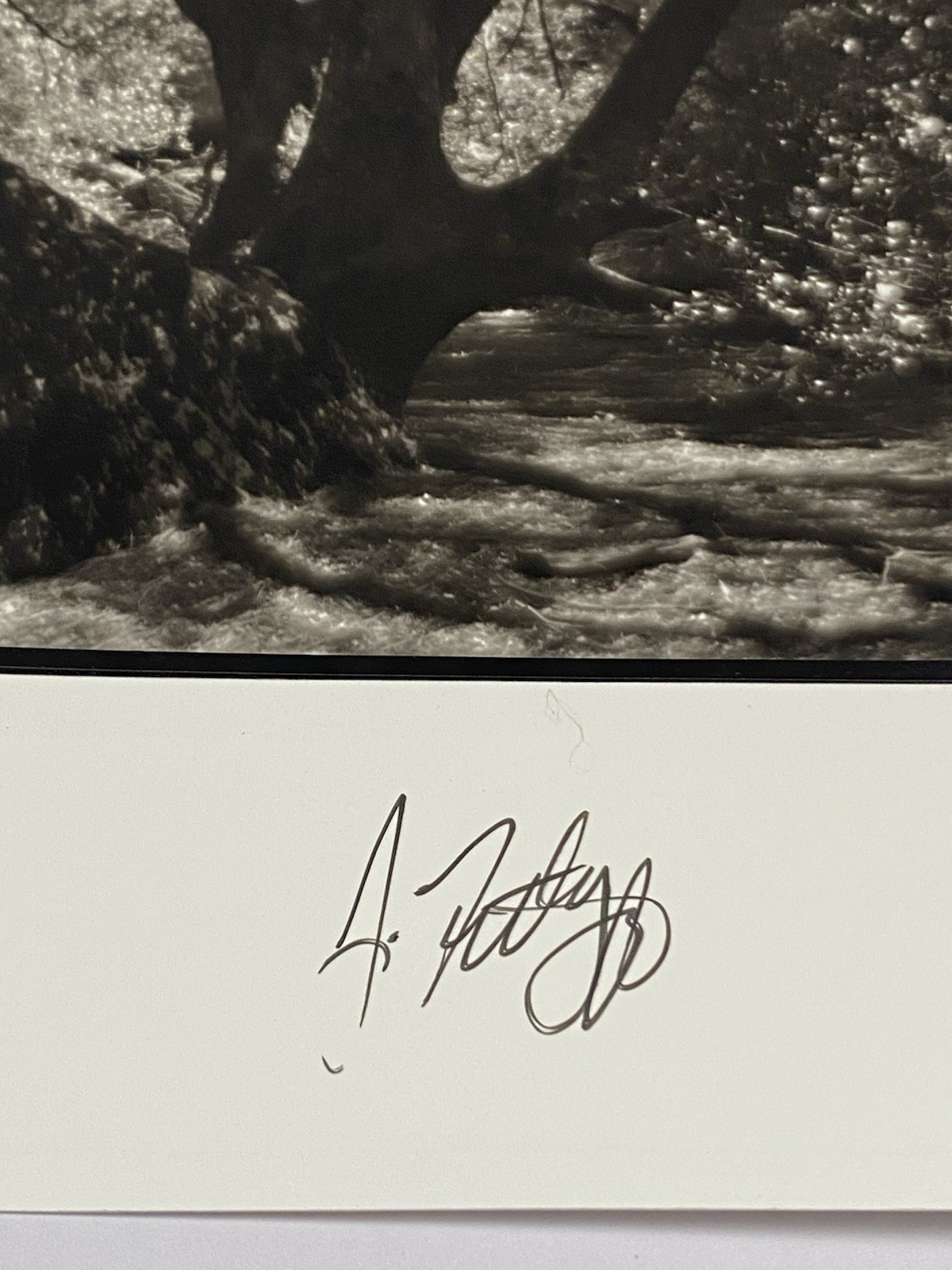 Jim Fitzgerald Untitled Photo Signed Photograph Carbon Transfer