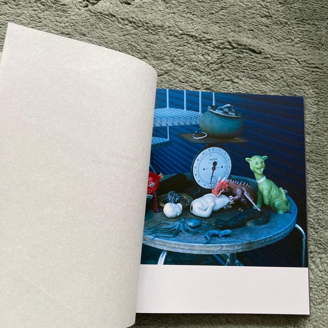 Rare Not For Sale Nobuyoshi Araki Tokyo Bojo Guimet Museum Catalog Photobook