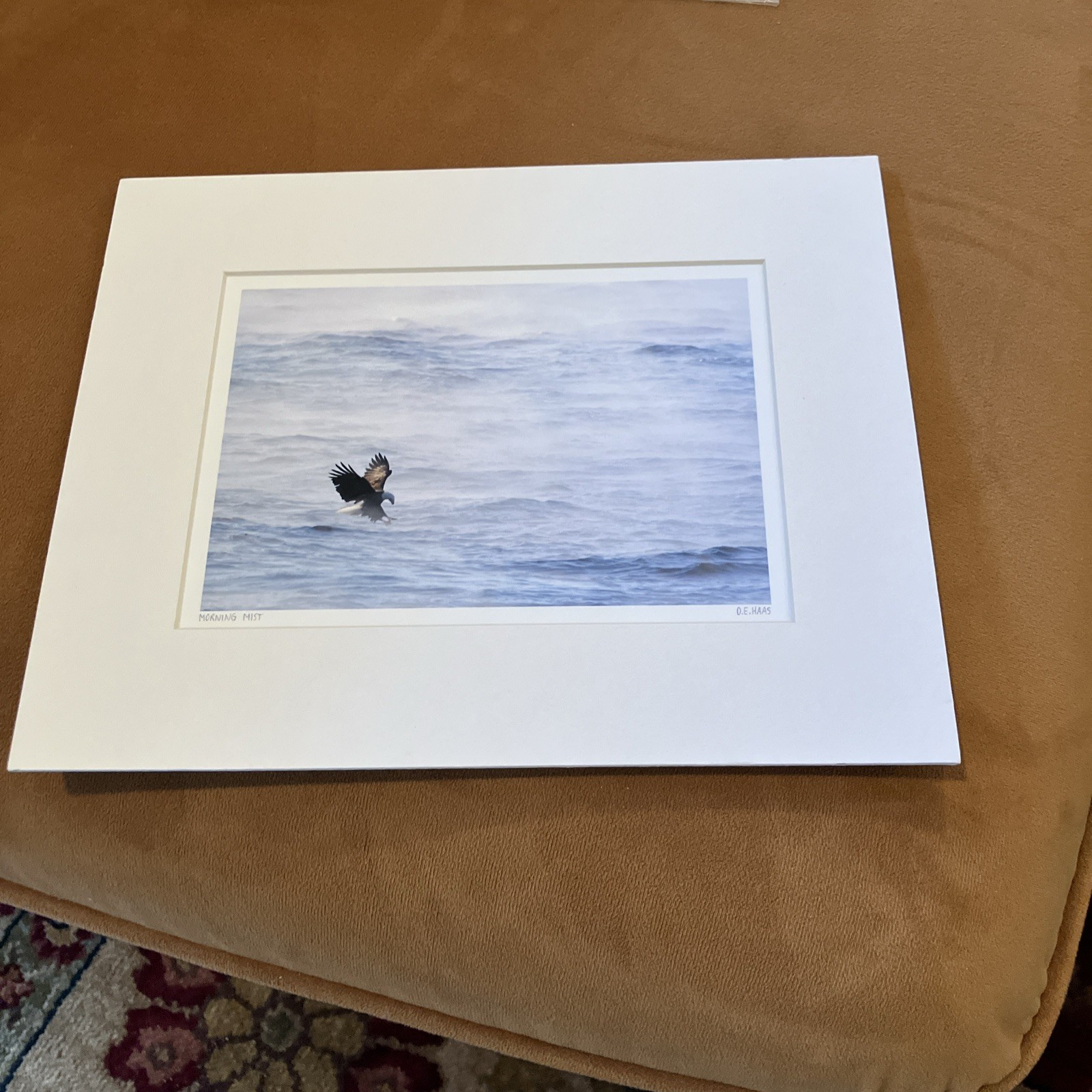 American Bald Eagle – Matted Signed Fine Art Wildlife Photography D.E.Haas