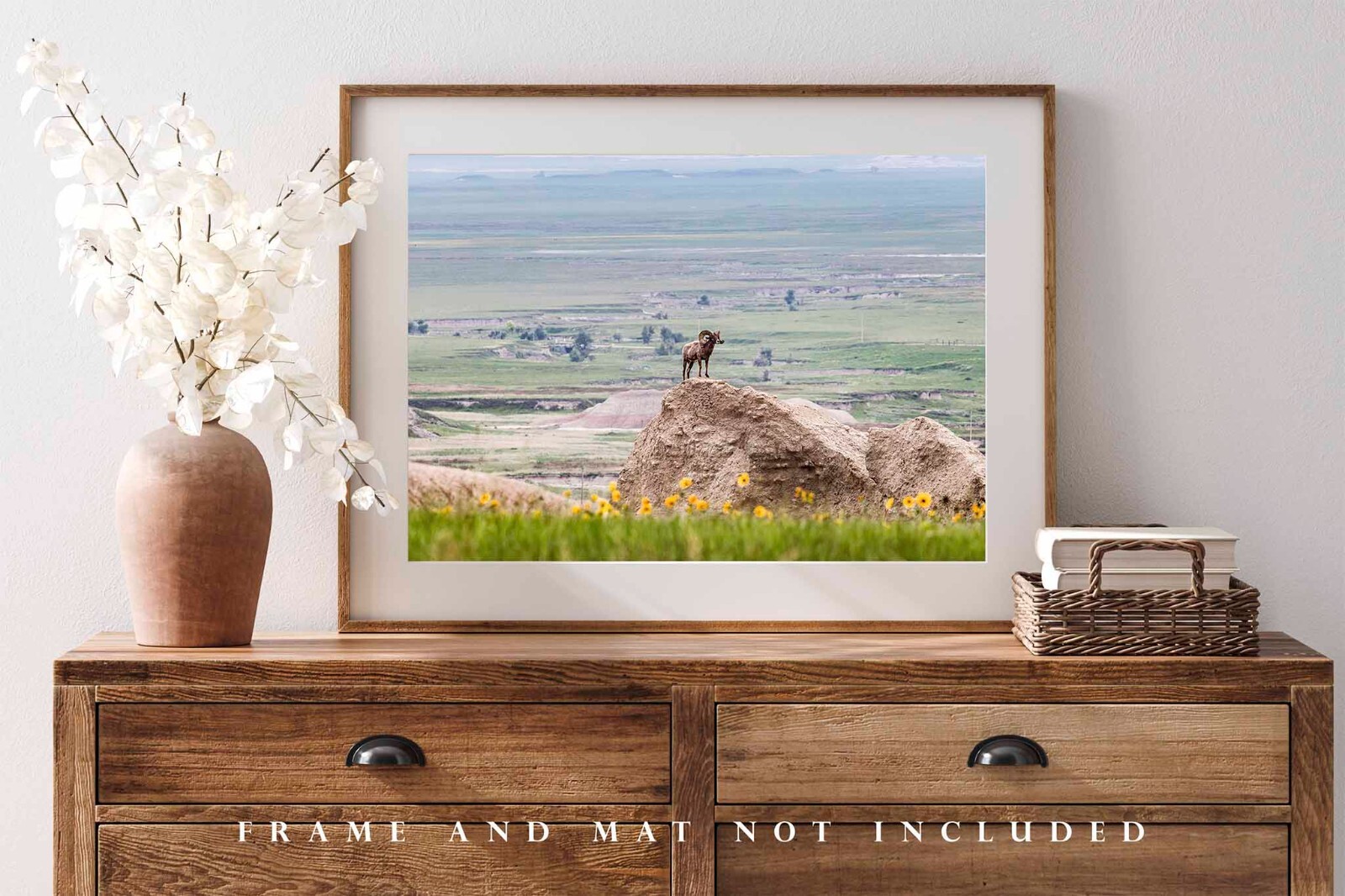 Wildlife Photography Print – Bighorn Sheep Badlands National Park South Dakota
